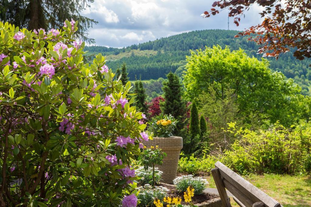 Hotel Am Fang Bad Laasphe Kültér fotó