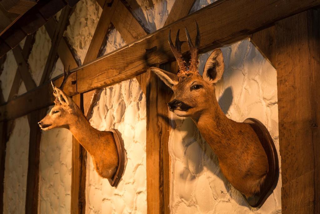 Hotel Am Fang Bad Laasphe Kültér fotó